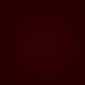 Meet your Posher, Lizzy